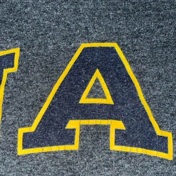 Champion Charcoal Tee with Yellow NAU Lettering - Picture 6 of 7